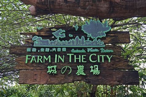 Farm in the city 城の农场, seri kembangan. Farm in the City @ Seri Kembangan - Weekend Treat