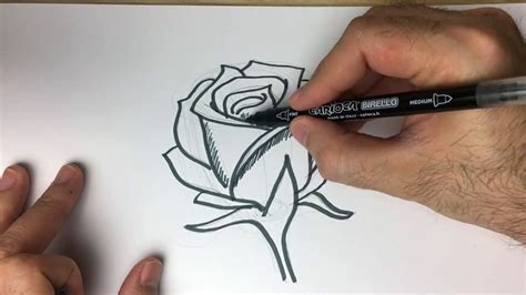 Cómo Dibujar Una Rosa De Forma Fácil Y Paso A Paso Timelapse