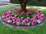 Flower Bed Plants For Shade Photos