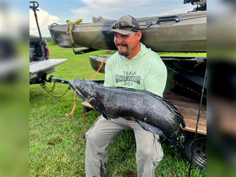 Kayak Fisherman Catches State Record Snakehead Outdoor Life