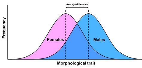 Sciencevet’s ‘sex Spectrum’ Paradox Institute