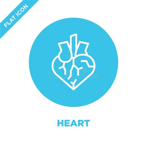 Heart Icon Vector From Human Organs Collection Thin Line Heart Outline Icon Vector Illustration