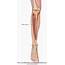 Tibialis Anterior  Learn Muscles