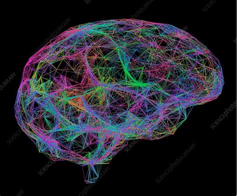 Brain Neural Network Illustration Stock Image F Science Photo Library