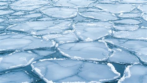 Cryospheric Sciences Did You Know The Difference Between Sea Ice