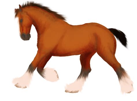 Clydesdale Horse By Shyflyerarts On Deviantart