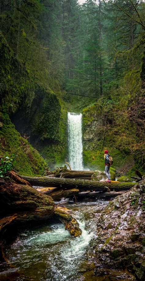 Guide To The Best Waterfalls Near Portland Oregon Fun Life Crisis