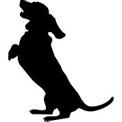 Dog Begging PNG Transparent Background, Free Download #14532 - FreeIconsPNG