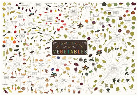 The Most Extensive Mapping Of Vegetables Ever Pop Chart Lab Has