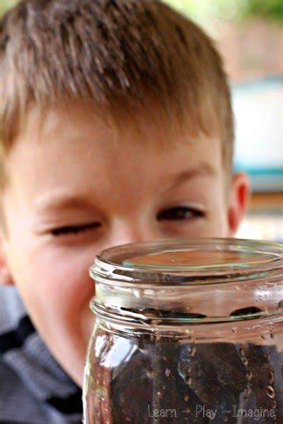 Exploring Water Surface Tension By Learn Play Imagine Science For