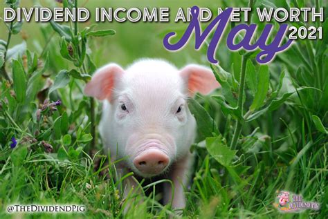 May Dividend Income And Net Worth Report 2021 The Dividend Pig