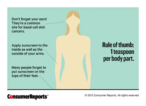 Or, the size of a single edamame bean up to a lima bean. —dr. How Much Sunscreen to Apply - Consumer Reports