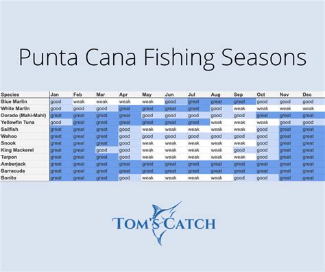 Punta Cana Fishing Calendar Whats Biting Toms Catch Blog