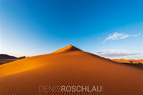 The Dune #explored | I really like this Dune and still ...