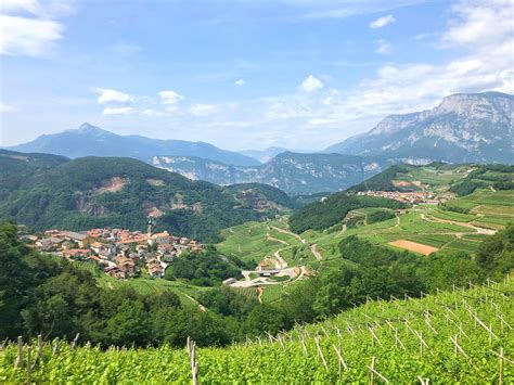 A Guide To The Trentodoc Sparkling Wine In The Italian