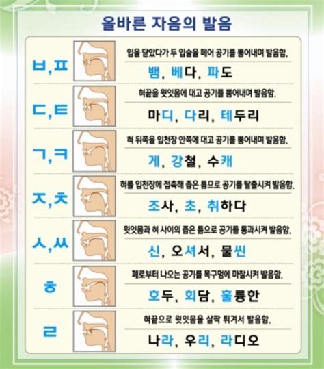 화법자료 화법자료 3 발음 자음훈련표