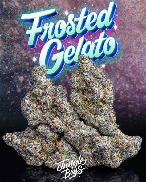 Frosted Gelato Jungle Boys Official