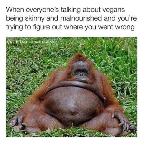 Vegan Jokes On Instagram “it All Started With Beyond Meat ☘ 📷 Jointhevegang