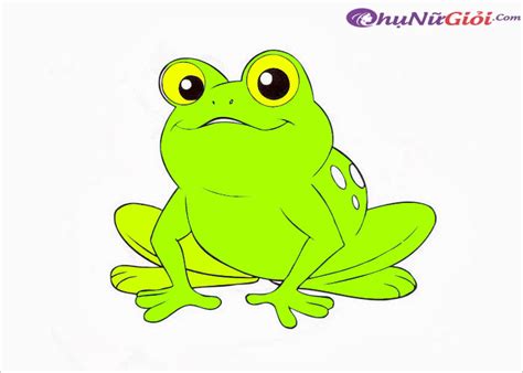 50 Mẫu Hình Vẽ Con ếch Cho Bé Tô Màu đẹp Và Dễ Thương