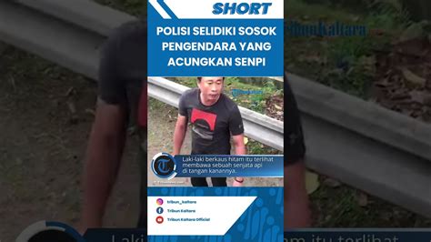 Viral Aksi Koboi Di Kawasan Tol Tangerang Polisi Selidiki Sosok