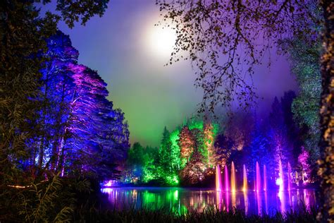 Enchanted Forest 2014 A Shot Taken Last Night At This