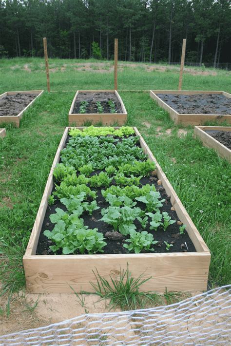 The easy way for south florida gardens & schools why raised bed gardens? New Book Plan and Build a Raised Bed Vegetable GArden ...