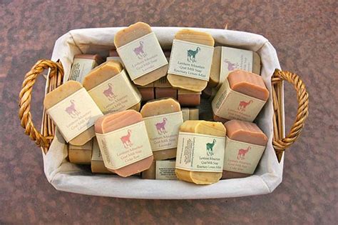 This is huge as inflammation is believed to be a leading cause in a lot of illnesses. 5 Goat Milk Soap Recipes: Learn How to Make a Healthy Goat ...
