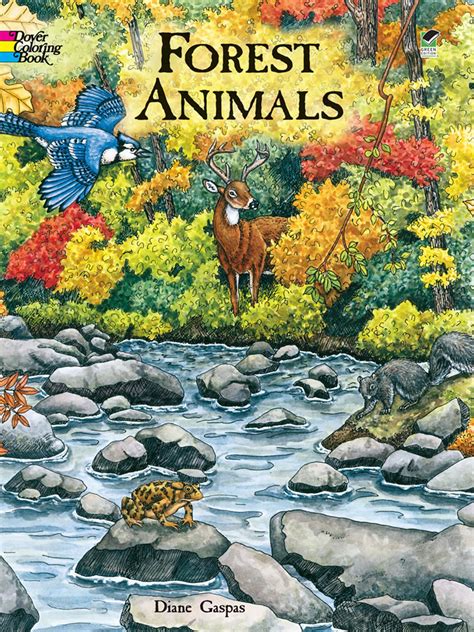 Forest Animals Coloring Book Hummul Carving Company