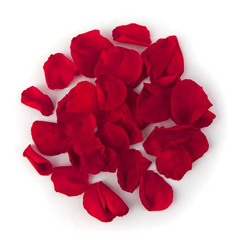 Red Coloured Rose Petal Sample Real Flower Petal Confetti Co