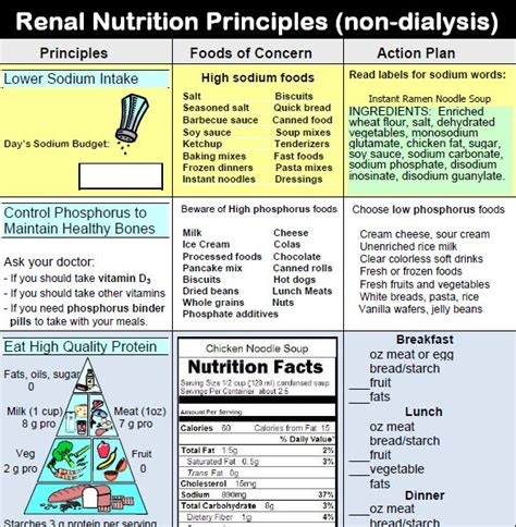 Care guide for diabetic exchange diet. kidney diet plan - Google Search | kindey and health ...