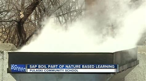 The syrup is done when it reaches 219° or 66% sugar content. Students boil sap to make maple syrup
