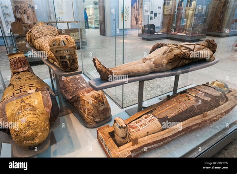 Мумия клеопатры британский музей