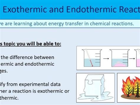 Exothermic And Endothermic Reactions Ks3 Year 7 Teaching Resources