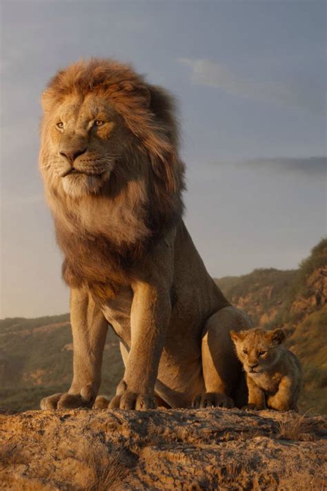 Disney Live Action Lion King Trailer Featuring Simba Watch The Lion