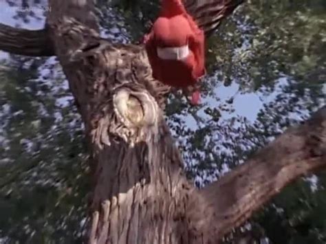 The best tv shows for 2018. Watch Mighty Morphin Power Rangers Season 3 Episode 10 ...