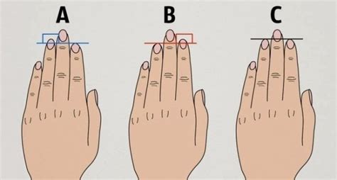 Do You Know What Finger Length Reveals About Your Personality Quizplayer