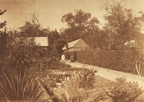 Photograph Of Garden At Forest Hill Sandford Tasmania With Sheds In