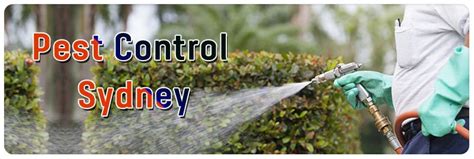 A reputed company will explain the hidden natures and activities. Pest Control Sheedys Gully | Best Pest Control Company in ...