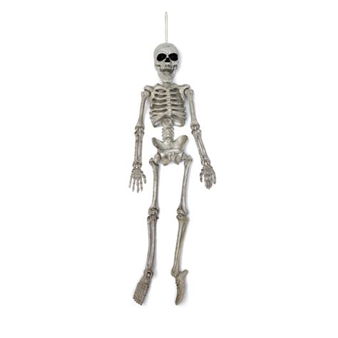 Totally Ghoul Hanging Skeleton Halloween Decoration