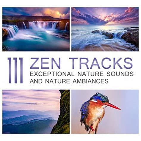 111 Zen Tracks Exceptional Nature Sounds And Nature