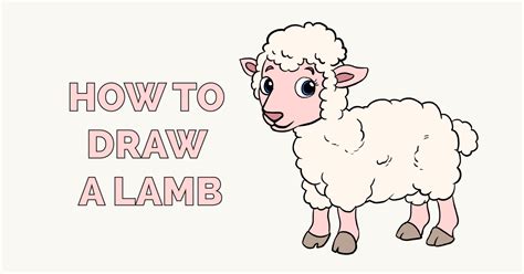How To Draw A Lamb Really Easy Drawing Tutorial