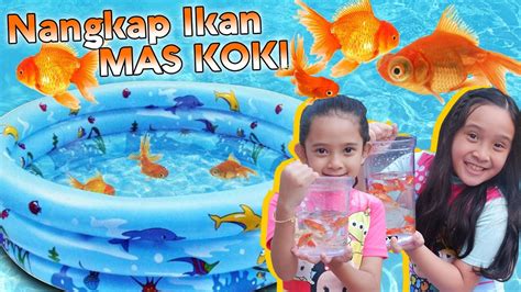 Sebab, dalam satu tempat, kamu sudah bisa mengunjungi banyak area menarik yang bisa dipakai belajar dan bermain. Mainan Anak Berenang Dikelilingi Ikan Mas Koki - YouTube