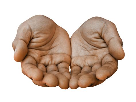 Cupped Hands Png Png Image Collection