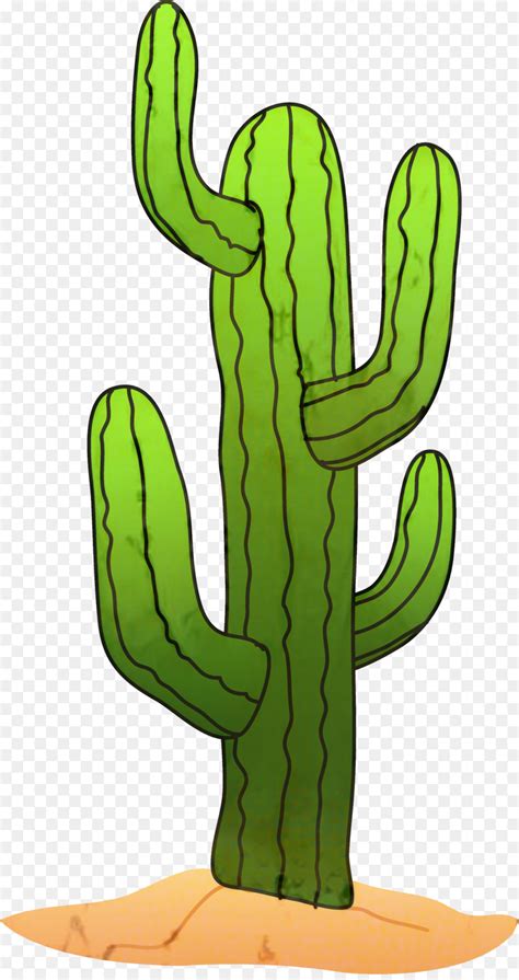 Clipart Cacti 10 Free Cliparts Download Images On Clipground 2024
