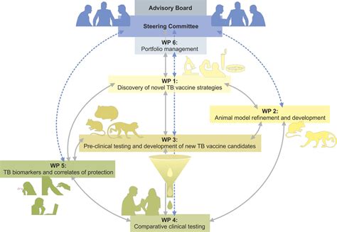 Frontiers | TBVAC2020: Advancing Tuberculosis Vaccines from Discovery
