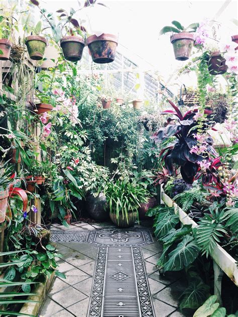 Maybe you would like to learn more about one of these? Inside San Francisco's Conservatory of Flowers. Find more ...