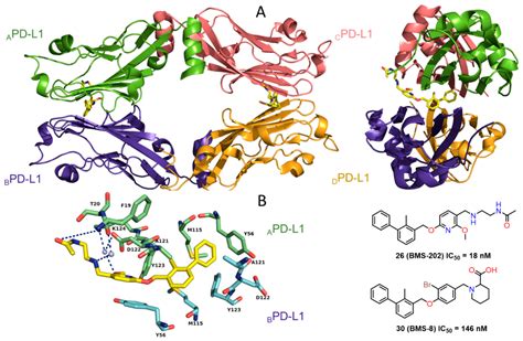 Molecules Free Full Text Development Of The Inhibitors Free Nude Porn