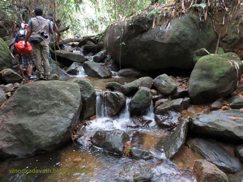 The Unexplored Caves Of Mankulam Vinod Ks Travel Blog