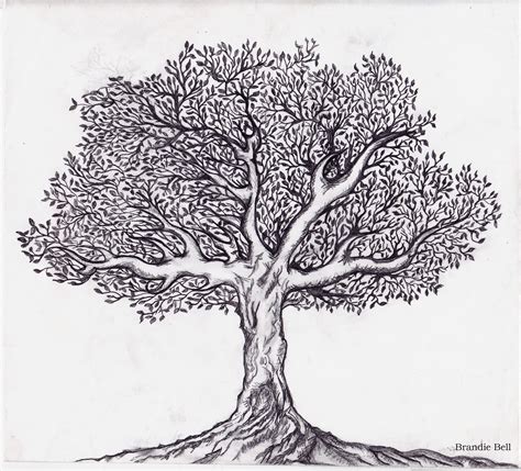 Tree Sketch Clipart Tree Sketches Black And White Tree Tree Of Life