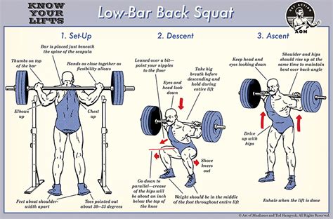 Learn How To Low Bar Squat Municipal Fitness